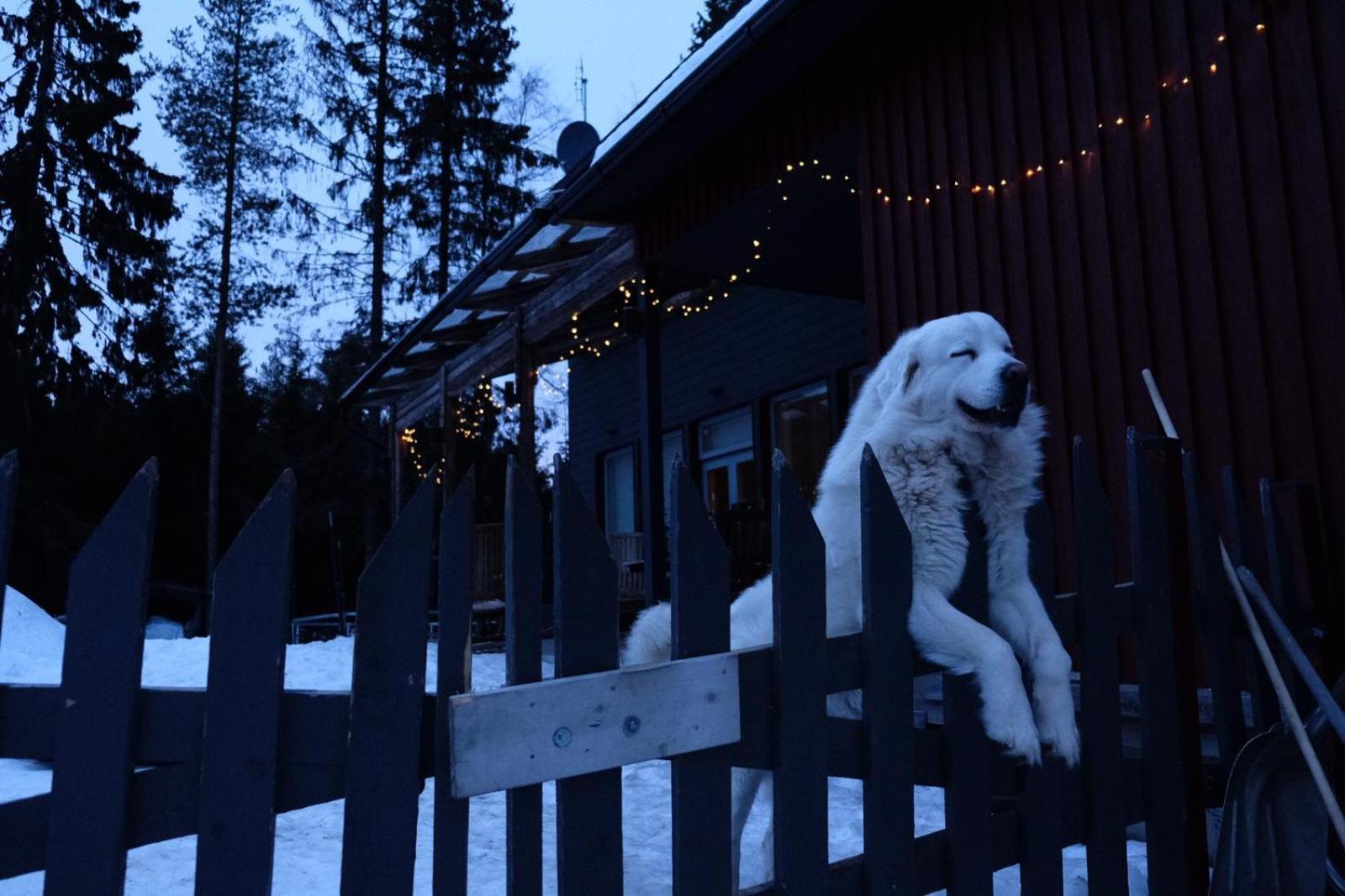 Laplandbike Apartment Arctic Circle Ροβανιέμι Εξωτερικό φωτογραφία